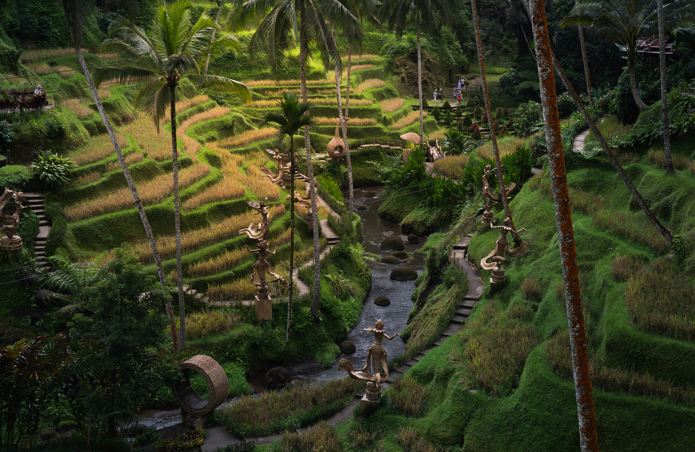 Green rice terraces and palm trees beside a winding path in Bali.