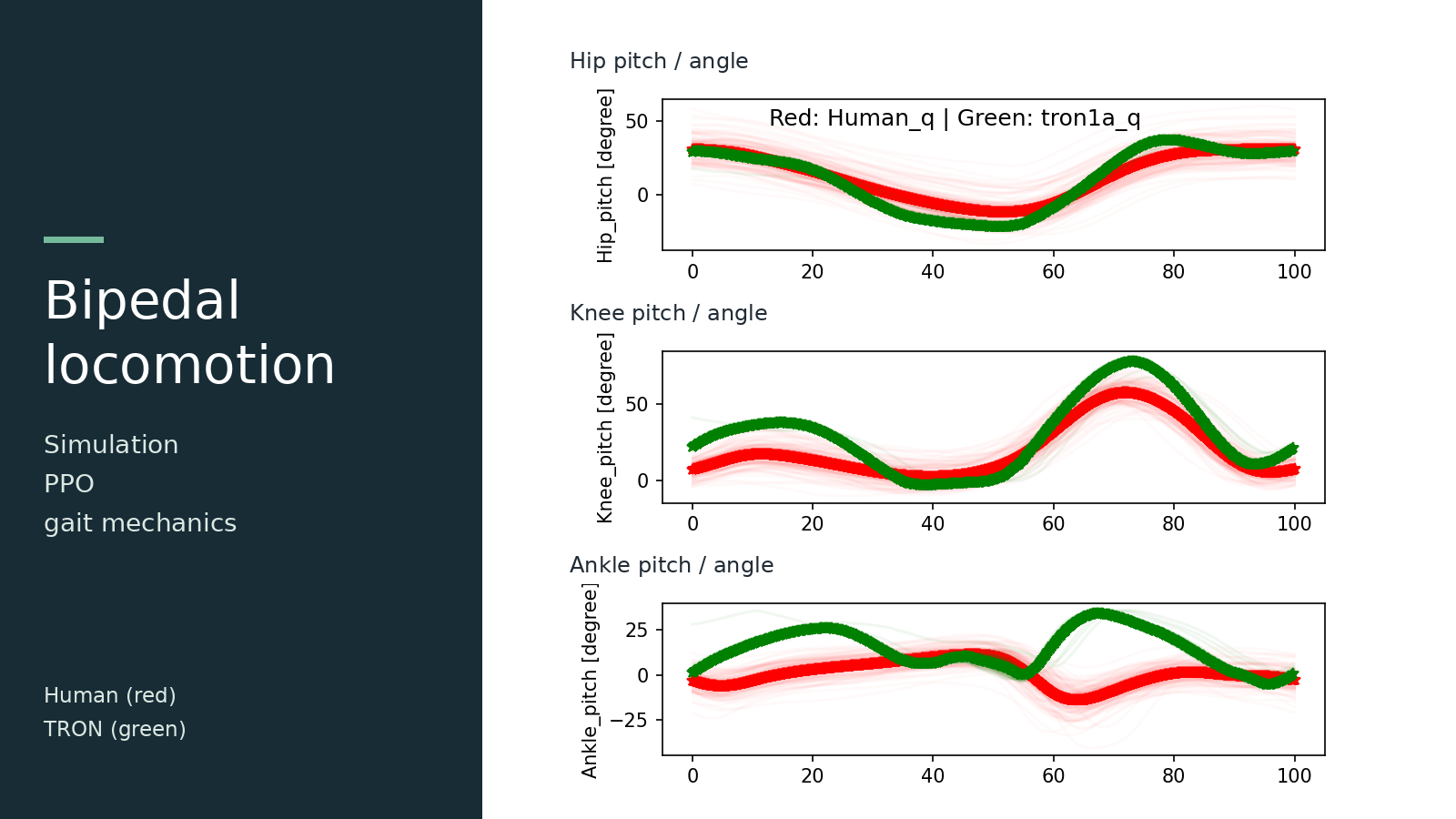 Historical human and TRON hip, knee, and ankle angle traces across the gait cycle